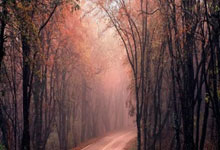 文班亚马25+7+9库里14分 马刺17分逆转胜勇士.