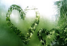 文班亚马25+7+9库里14分 马刺17分逆转胜勇士.